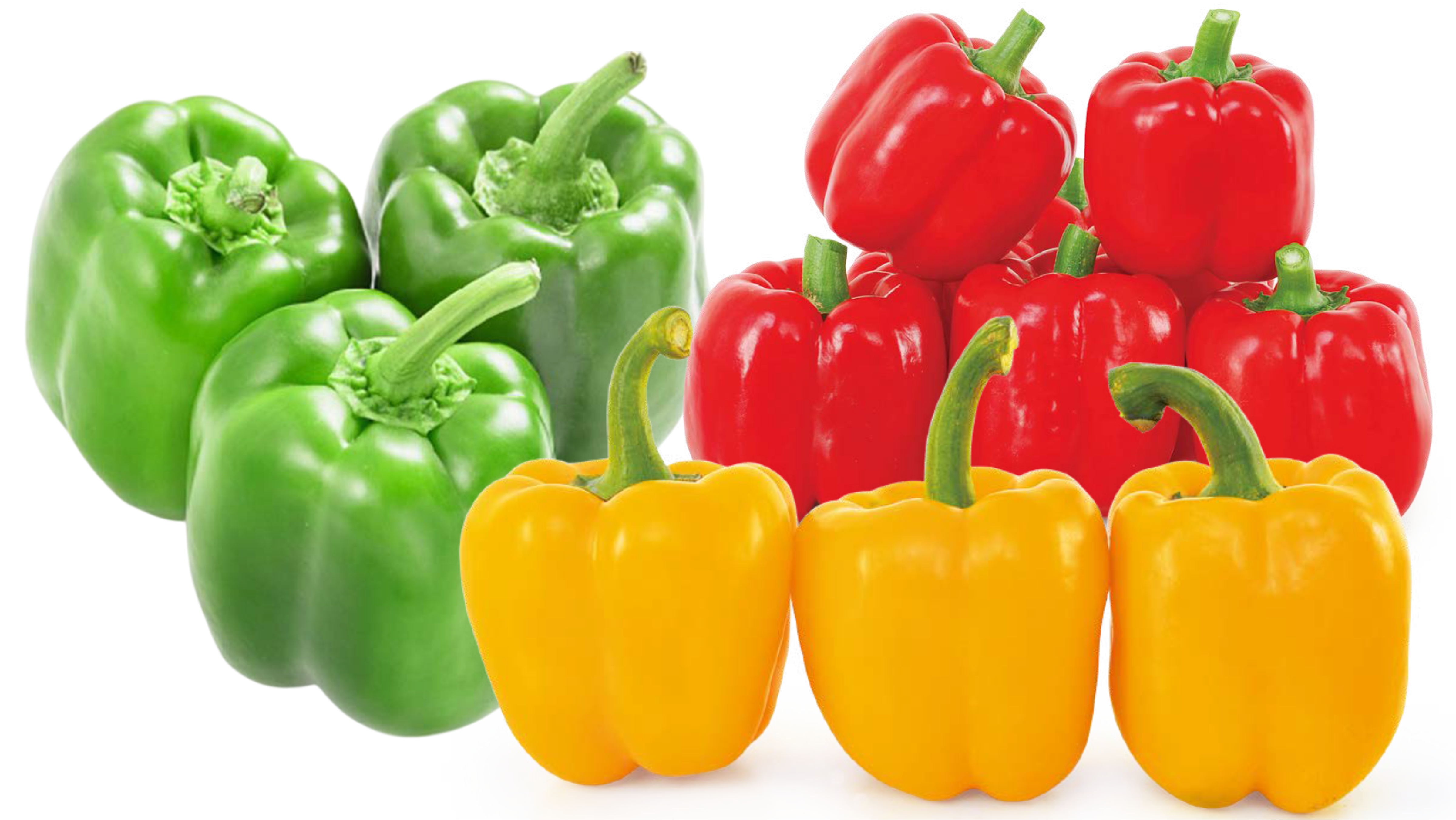 Capsicum